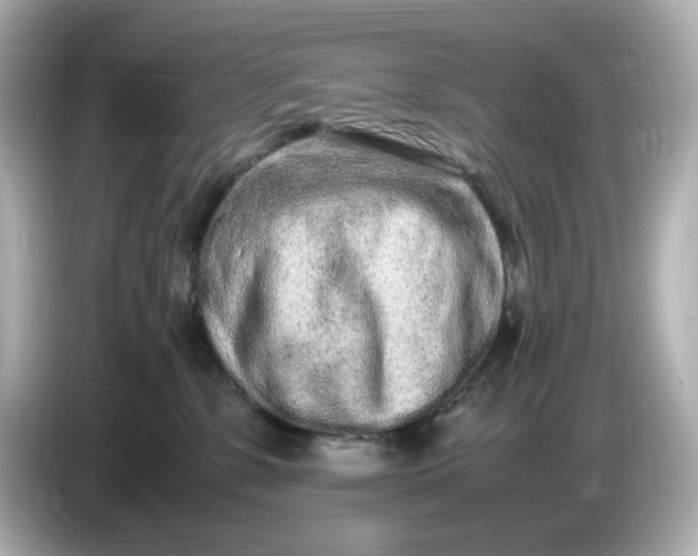 X0000086910331200704301042