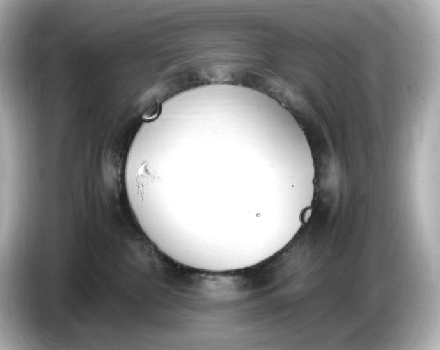 X0000086910332200704301042