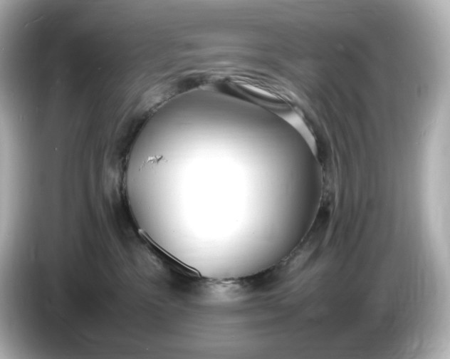 X0000086910333200704301042