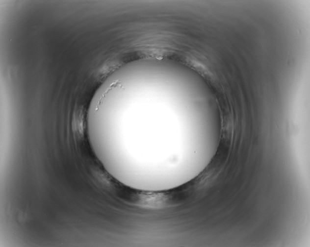 X0000086910334200704301042