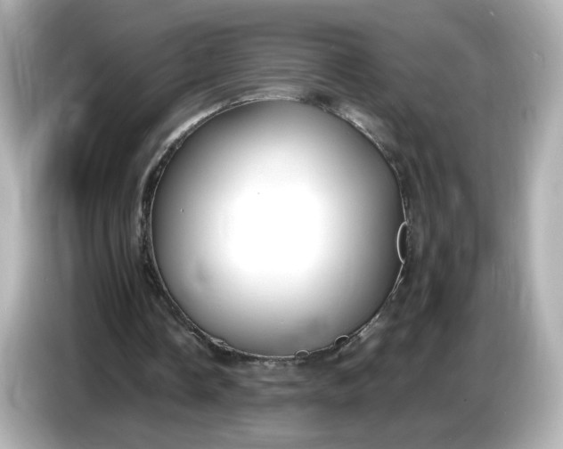 X0000086910338200704301041