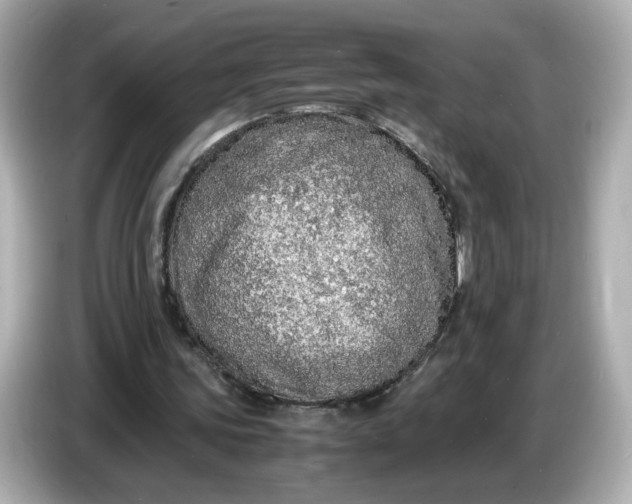 X0000086910339200704301041