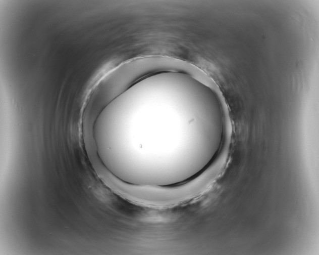 X0000086910340200704301041