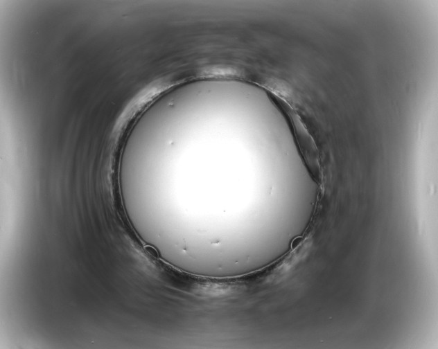 X0000086910341200704301041