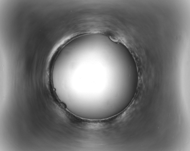 X0000086910342200704301041