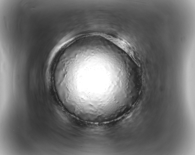 X0000086910343200704301041