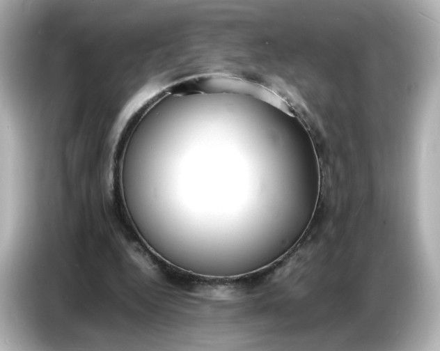 X0000086910344200704301041