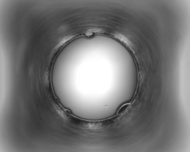 X0000086910345200704301041