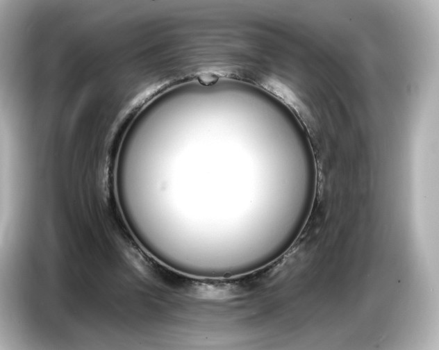 X0000086910346200704301041