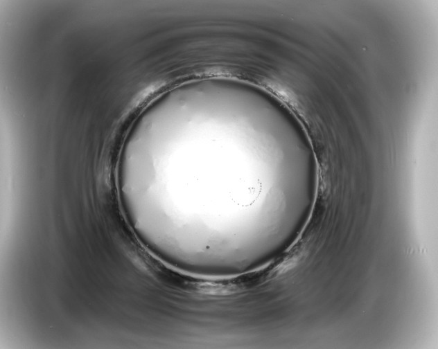 X0000086910347200704301041