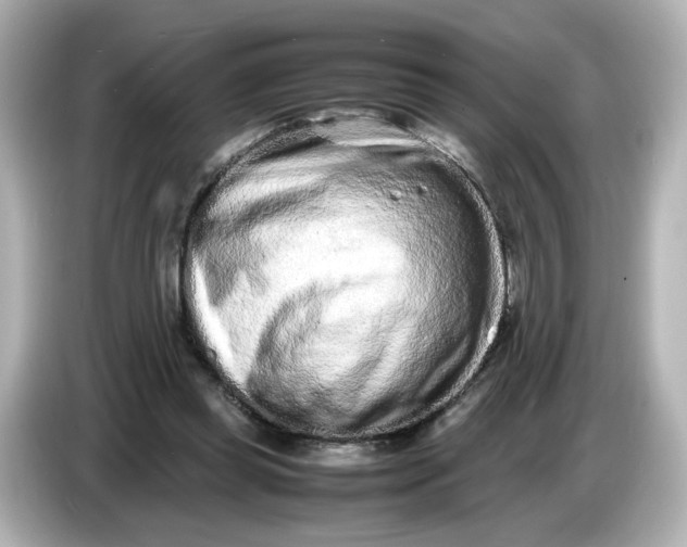 X0000086910349200704301041