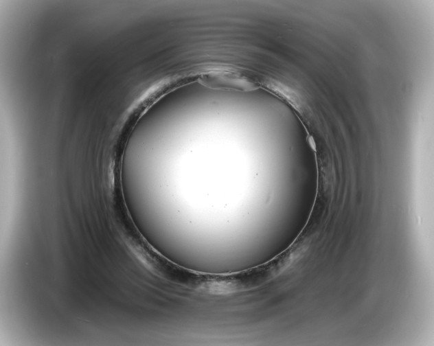 X0000086910350200704301042