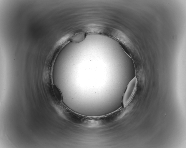 X0000086910352200704301042