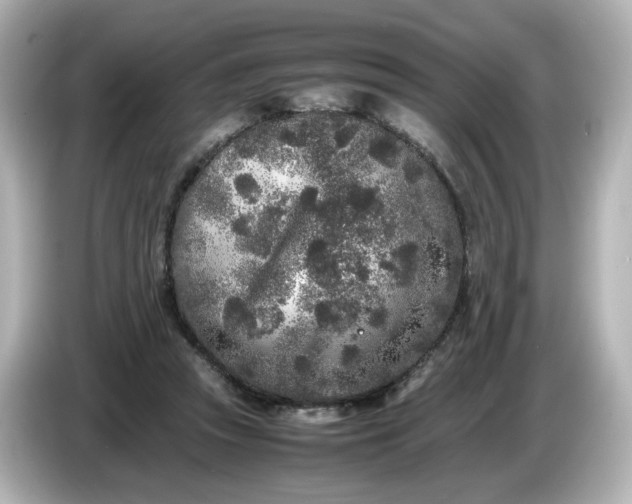 X0000086910353200704301042