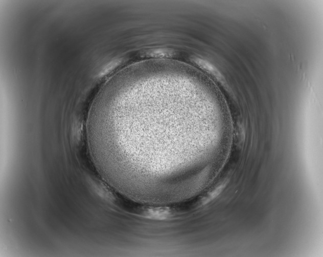 X0000086910355200704301042