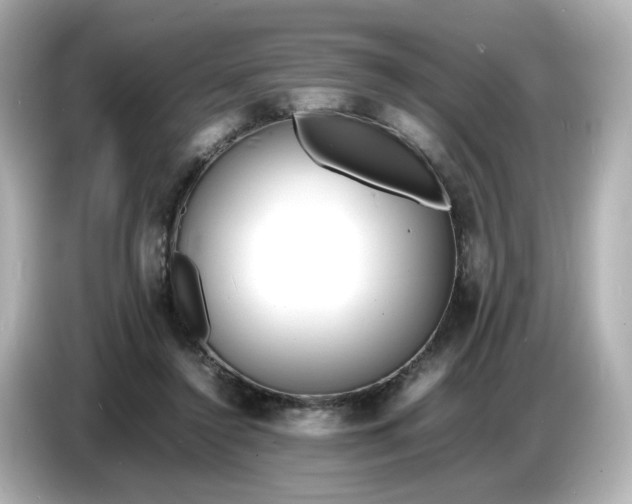 X0000086910356200704301042