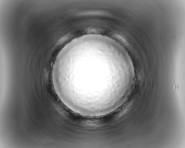 X0000086910357200704301042