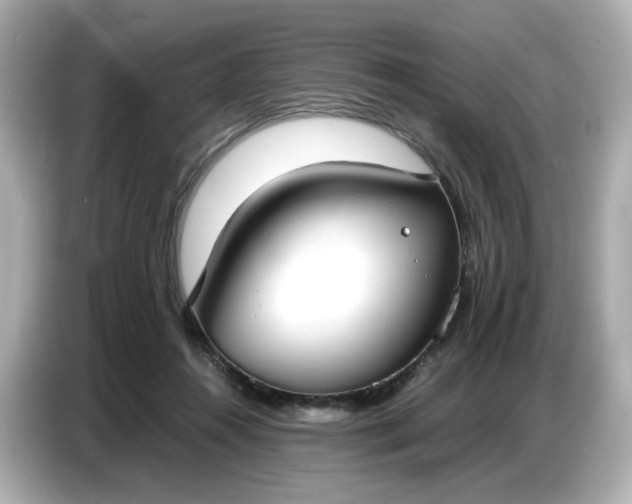 X0000086910360200704301042