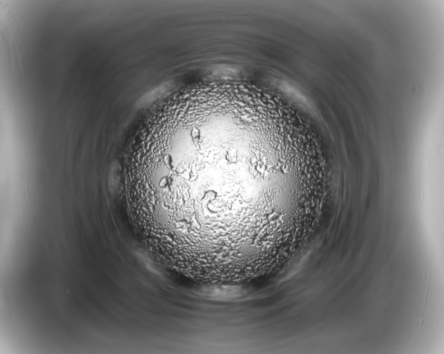 X0000086910361200704301042