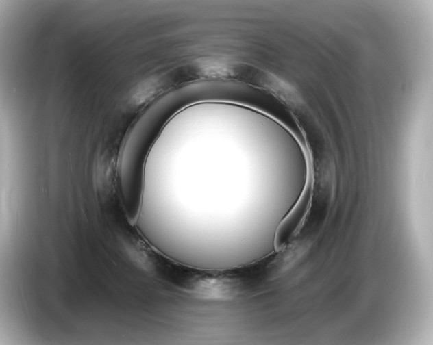 X0000086910364200704301042