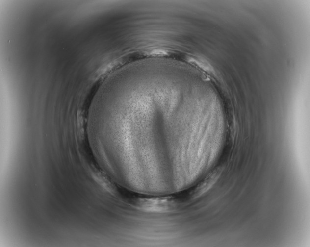 X0000086910366200704301042