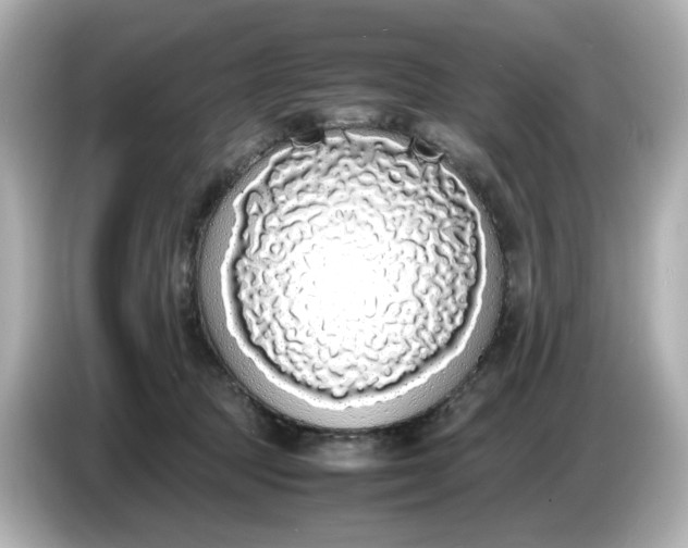 X0000086910369200704301042