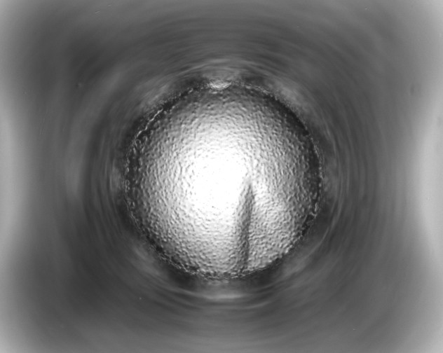 X0000086910371200704301042