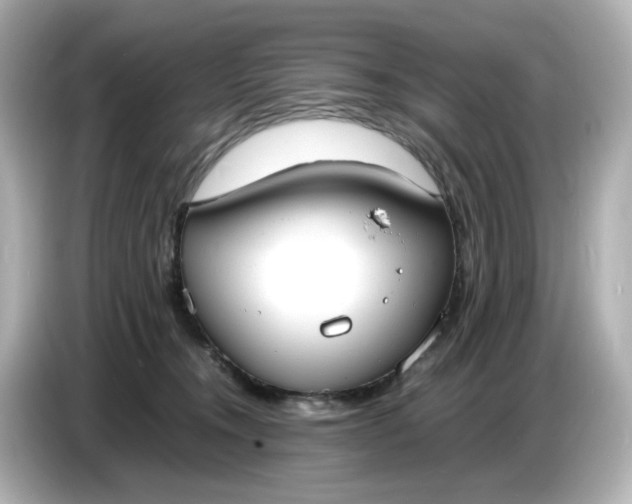 X0000086910372200704301042