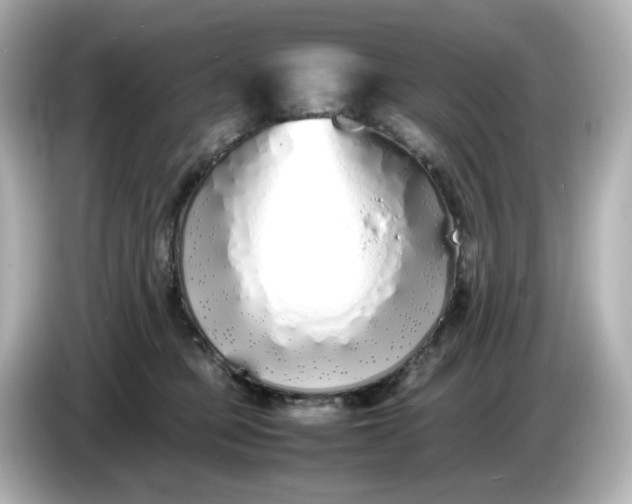 X0000086910373200704301042