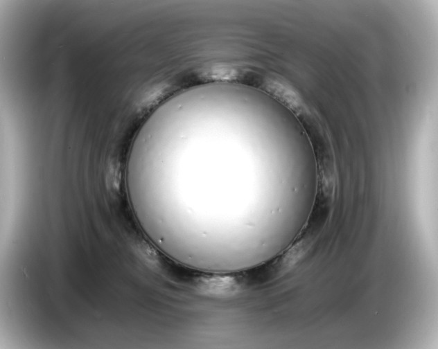 X0000086910374200704301042