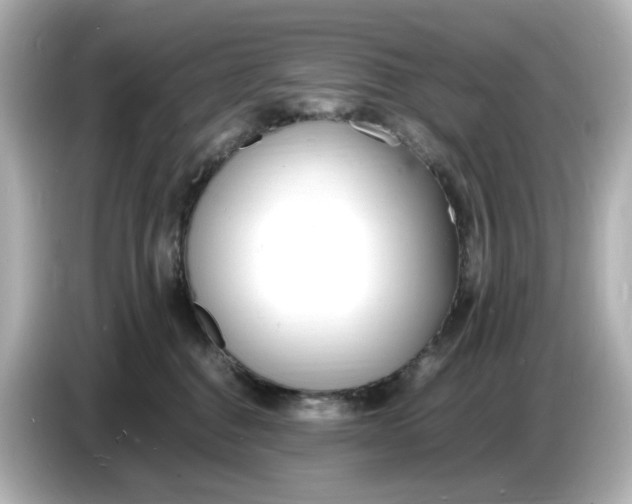 X0000086910376200704301042