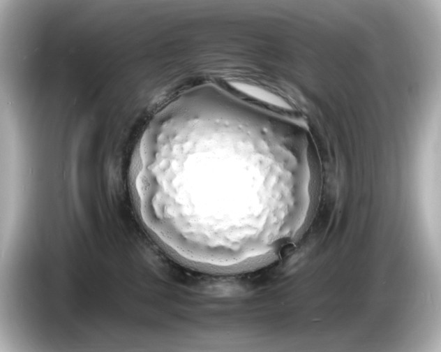 X0000086910377200704301042