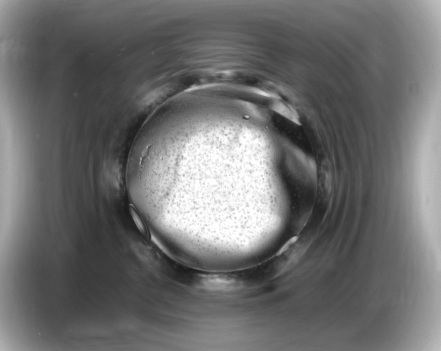 X0000086910380200704301042