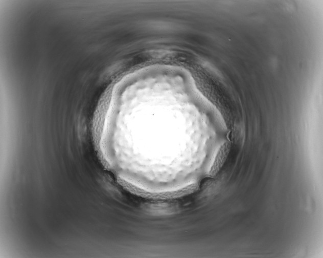 X0000086910381200704301042