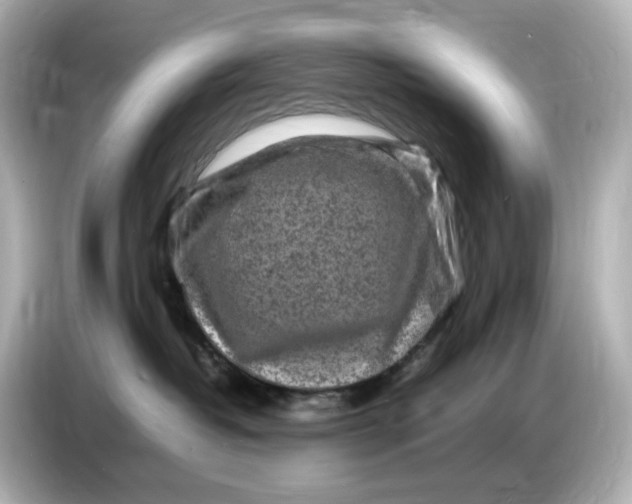 X0000086910382200704301042