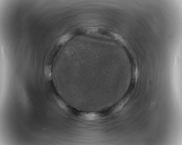 X0000086910383200704301042