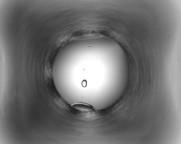 X0000086910384200704301042