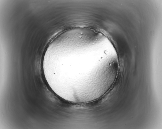 X0000086910386200704301041