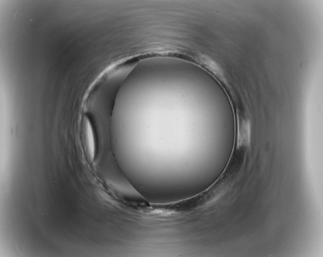 X0000086910387200704301041