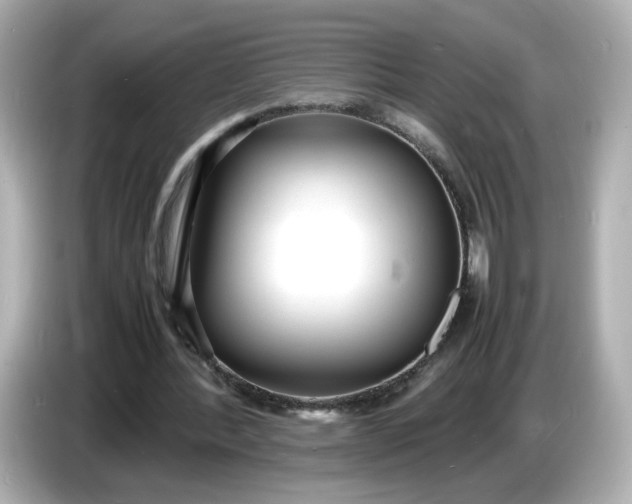 X0000086910388200704301041