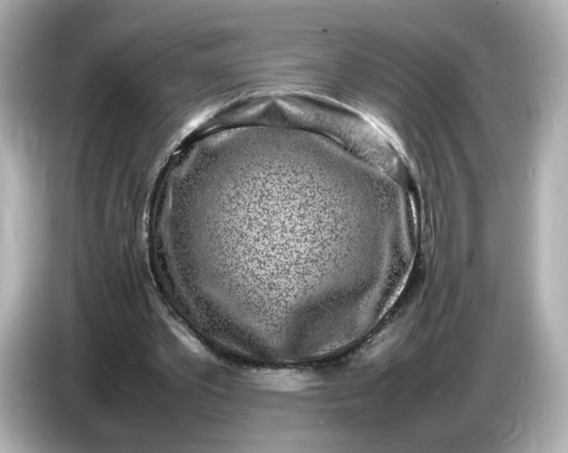 X0000086910389200704301041