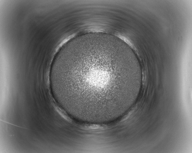 X0000086910390200704301041