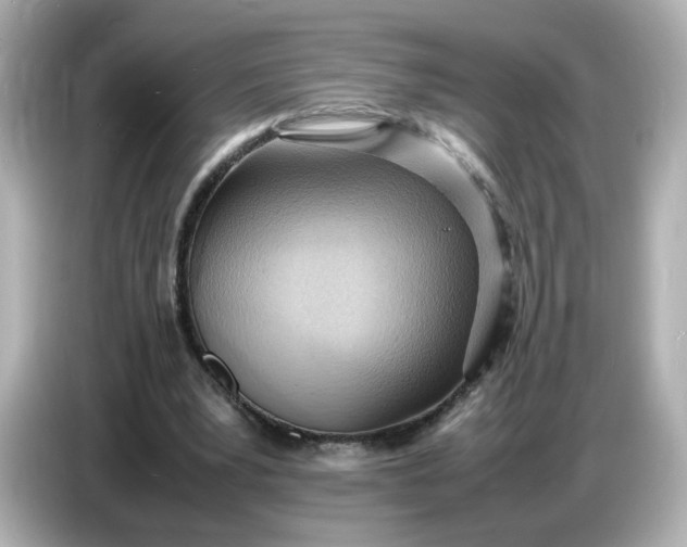 X0000086910391200704301041