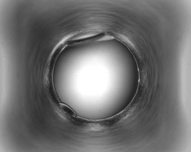 X0000086910392200704301041