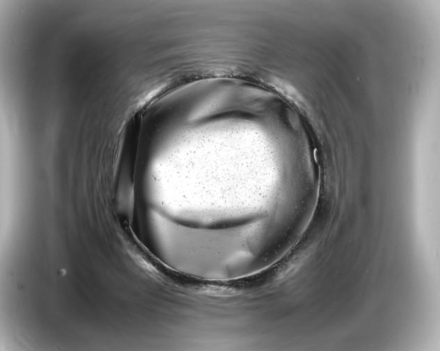 X0000086910393200704301041