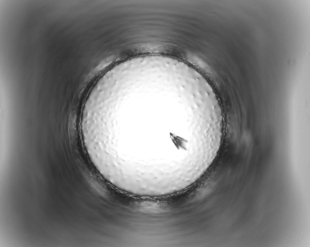 X0000086910394200704301041