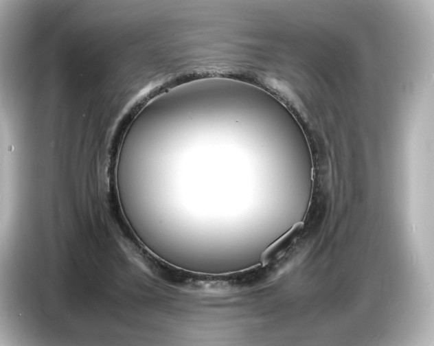 X0000086910395200704301041