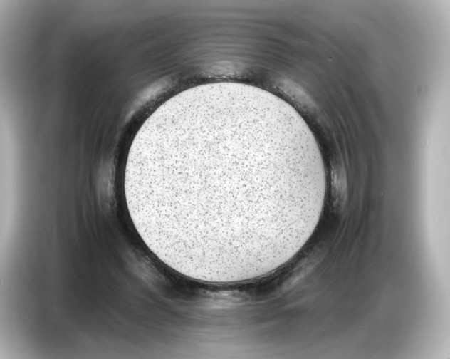 X0000086910396200704301041