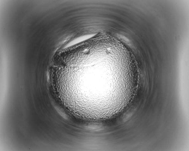 X0000086910398200704301041