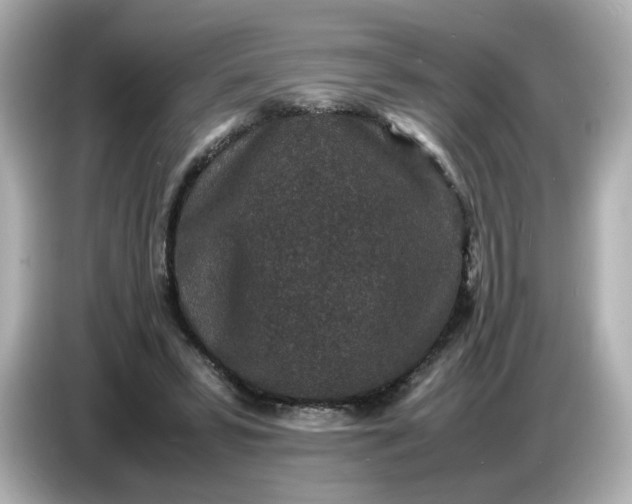 X0000086910399200704301041